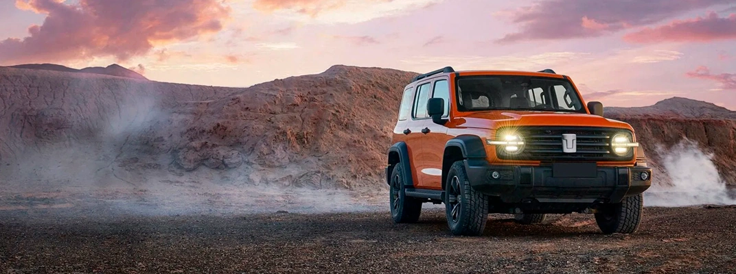 Купить Tank в вашем городе